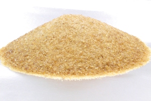 Spine Glue